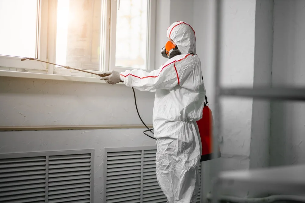 Professional mold remediation services in Winnie, TX